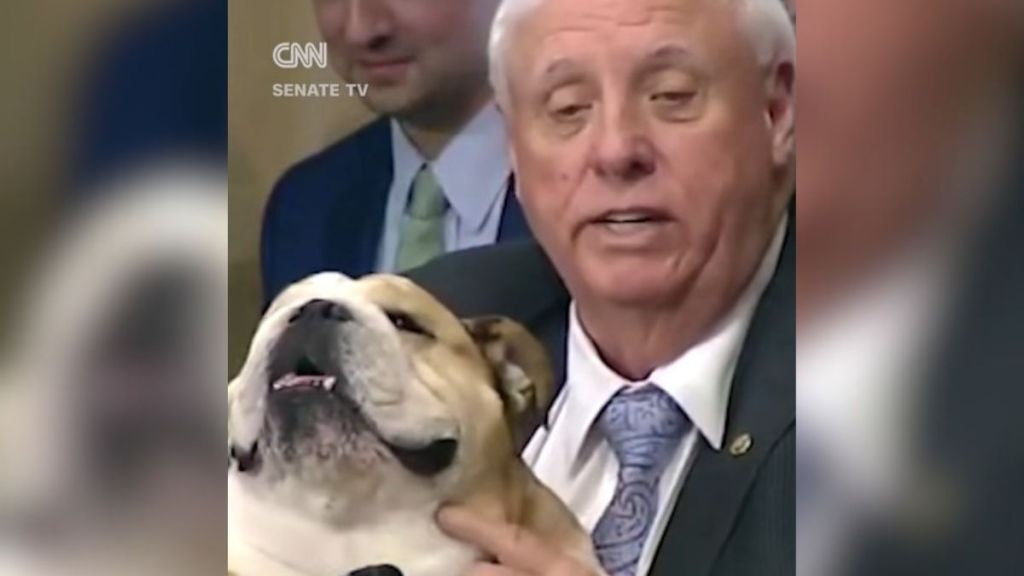 Image shows Senator Jim Justice with his English bulldog Babydog.