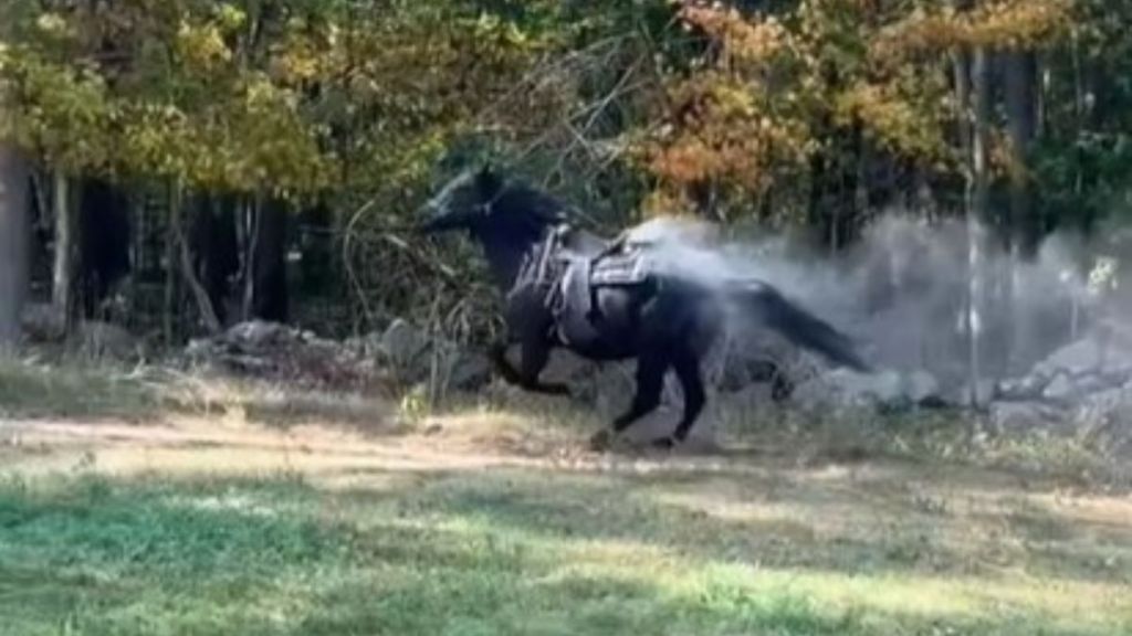 Bob Sr. of Bobby's Ranch had one request when he passed: the cowboy wanted one last ride.