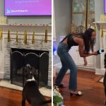 Images show a woman and her dog sharing a Karaoke moment.