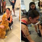 Images show Nala the Golden Retriver surrounded by new friends during her recent mall adventure.