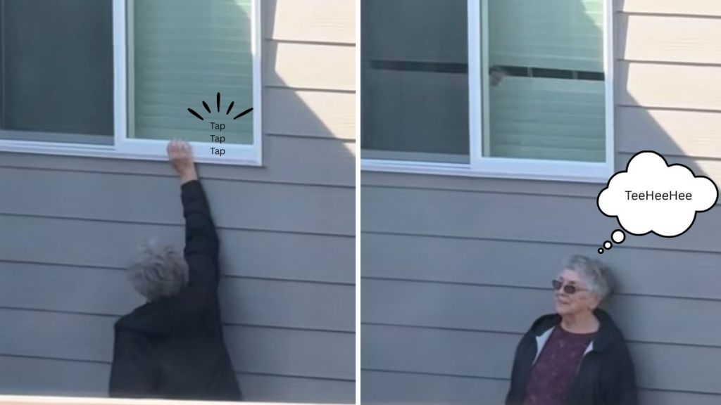 Images show a Grandma playig a prank on a neighbor by tapping on the window and hiding.