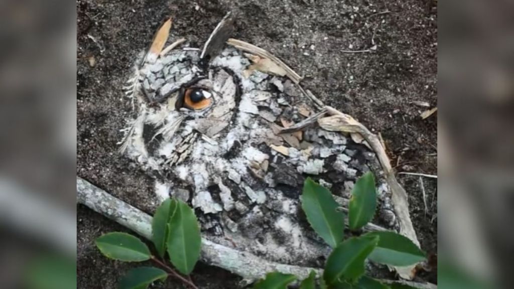 Image shows a great horned owl created out of sticks, bark, leaves and other forest debris.
