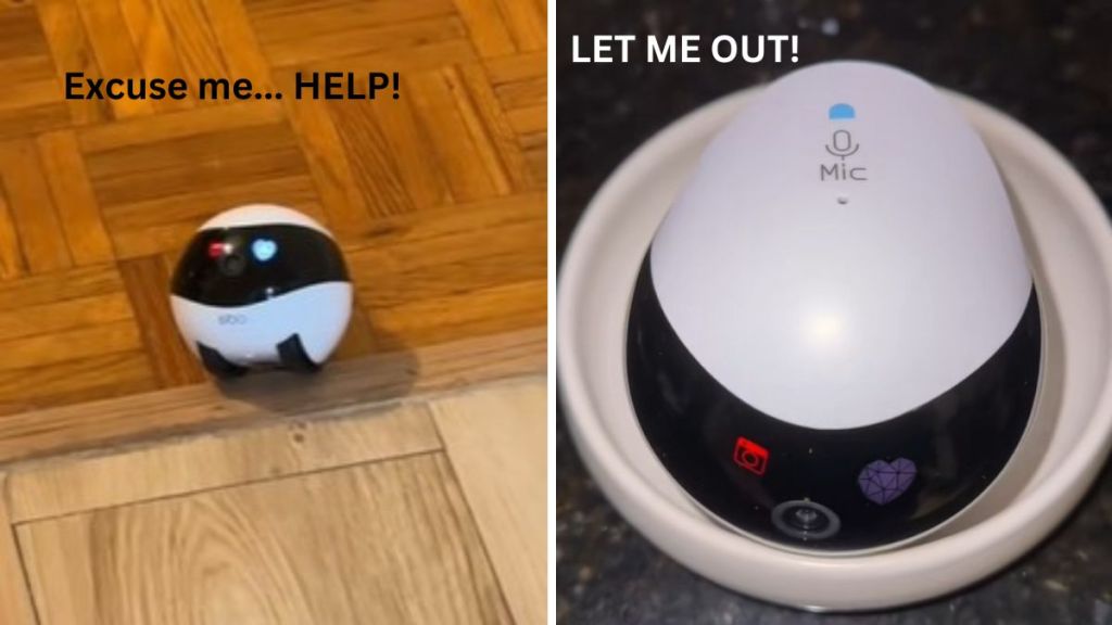 Left image shows the robot brother trapped on a threshold between two rooms. Right image shows the robot brother trapped in a small bowl by his human sister.