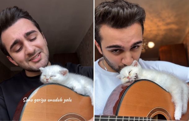 Images show a musician with a white kitten snoozing on his guitar.