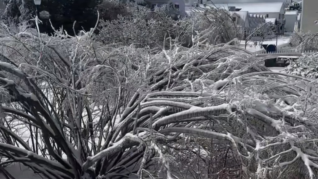Michigan Ice Storm