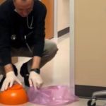 Image shows a doctor squatting in his office to remove a mouse his workers have trapped under a bowl.
