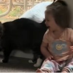 A little girl sits at a glass door. She smiles as she looks over at the cat standing next to her