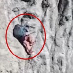 A woman clings onto a cliffside, nearly blending in. A red circle has been added to show where she's at