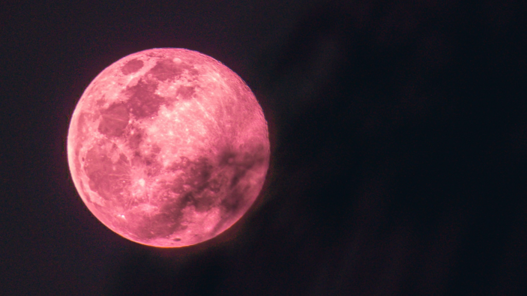 Pink Moon