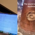 a man posing with a laptop next to a screenshot of a mushroom being grilled
