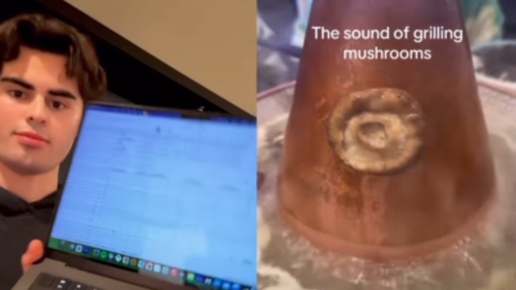 Incredible: Composer Turns The Sound Of Grilling Mushrooms Into A Full-Blown Symphony