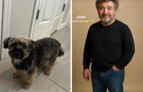 Left image is a childhood dog. Right image is what CHATGPT thinks the dog would look like as a human.