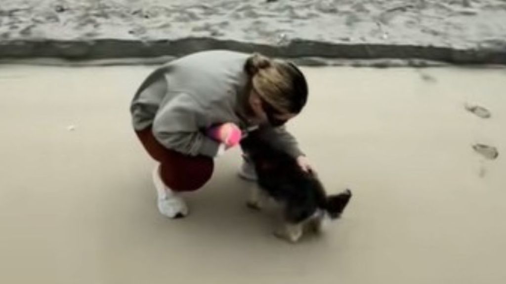 Women racing to tell her childhood dog and best friend about her engagement.