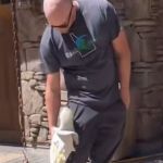 Cockatoo Sweet Pea climbs the leg of a worker to say hello.