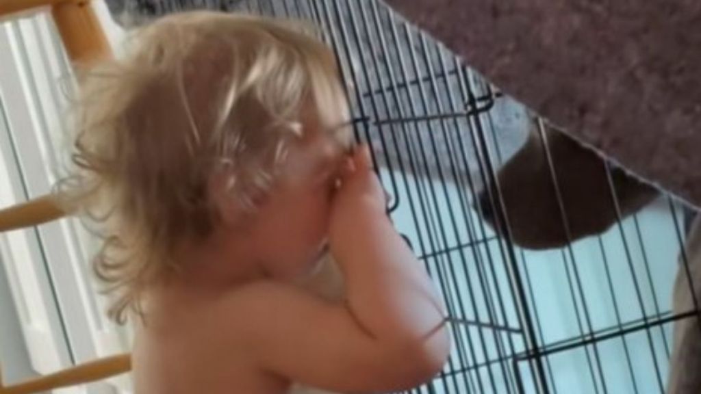 Image shows a dramatic baby whining to the family dog because her mom said, "No."