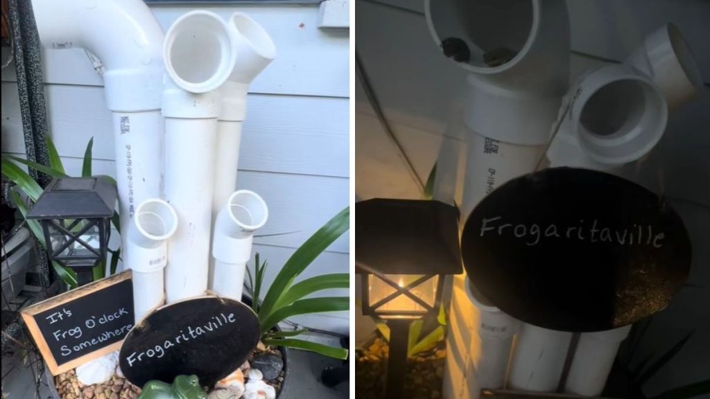 Left image shows a frontal view. Right image shows the frog hotel with guests in the "presidential suite."