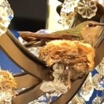 Image shows a hummingbird nest in a chandelier.