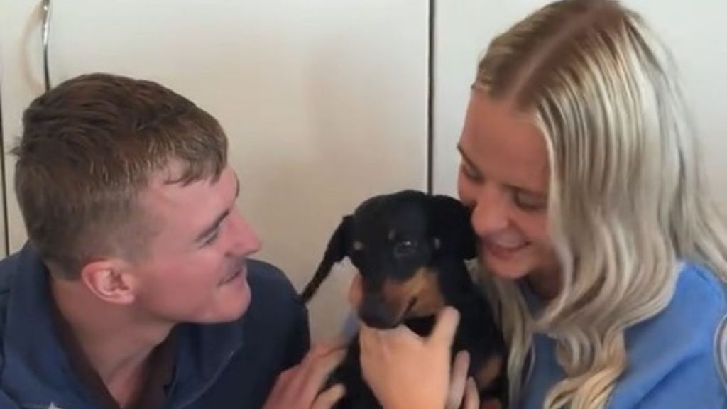 A dog was reunited with her owners after being lost on Kangaroo Island for 17 months.