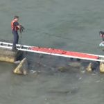 Image shows rescue workers helping a dog stuck on a rock wall in Lake Michigan near Chicago's Calumet Beach..