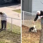 Images show an elderly couple struggling to reach over a fence to pet their neighbor's dog.