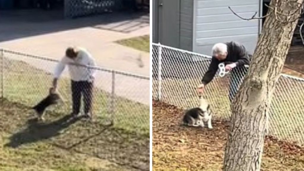 Images show an elderly couple struggling to reach over a fence to pet their neighbor's dog.