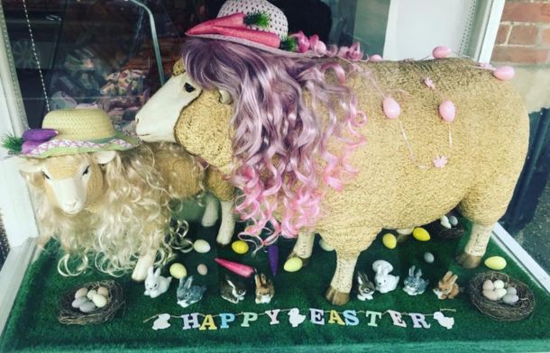 Behold, The Hilarity Of “A Goat In A Wig”