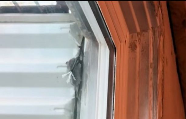 Image shows the llittle mouse nearing the top of the escape ladder.