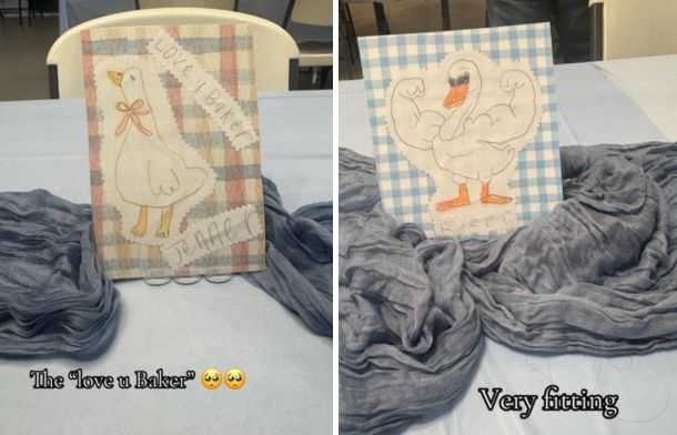 Images show silly goose drawings from Miss Glass' students.
