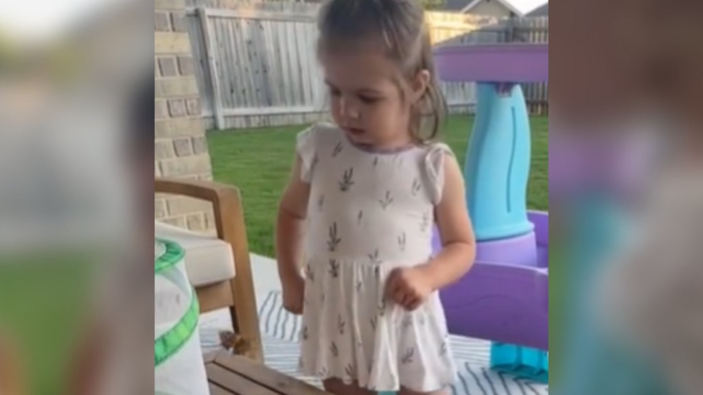 A little girl stands in her backyard. She looks down at the butterfly that's starting to fly toward her