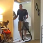 A man walks into an apartment, large vacuum in hand. A cat stands nearby on a side table, seeming unsure of the man