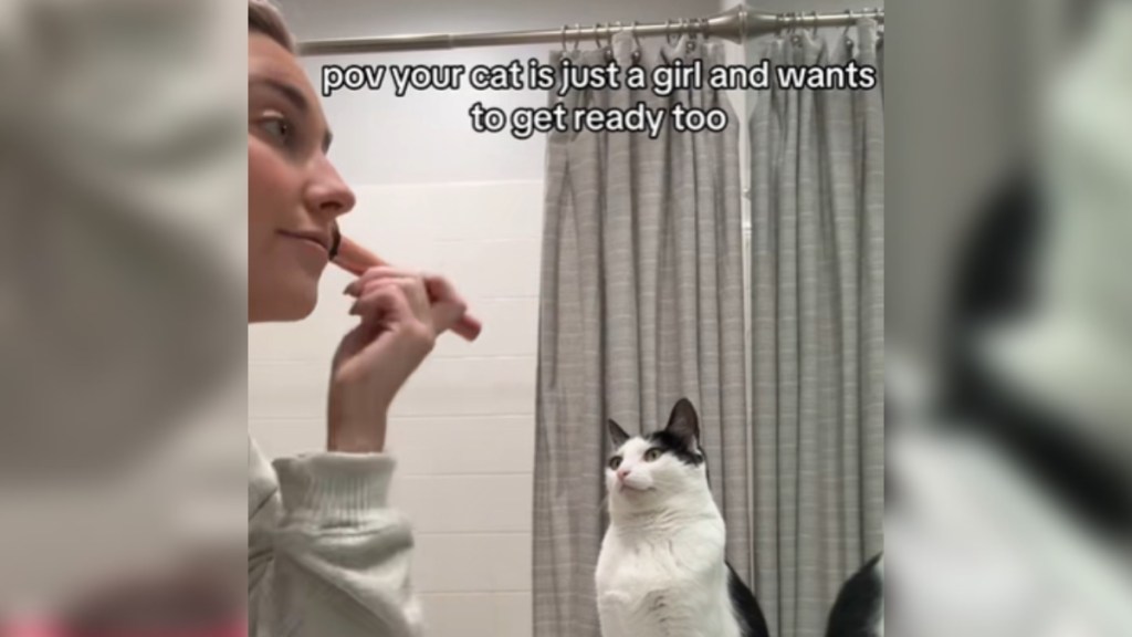 A woman looks to the right in a mirror as she applies makeup. A white and black cat stares intently at the woman. Text on the image reads: pov your cat is just a girl and wants to get ready too