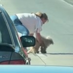 A woman stands in the middle of a busy freeway. She bends down, getting ready to pick up a dog.