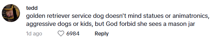 Comment from tedd: golden retriever service dog doesn't mind statues or animatronics, aggressive dogs or kids, but God forbid she sees a mason jar