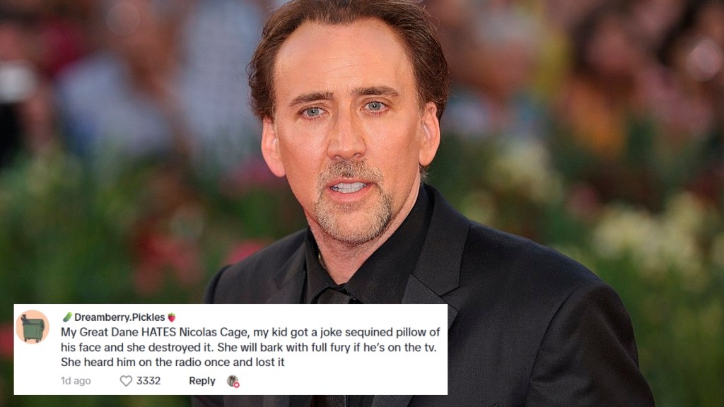 Close up of Nicholas Cage at an event. A social media comment is edited onto the photo and reads: My Great Dane HATES Nicolas Cage, my kid got a joke sequined pillow of his face and she destroyed it. She will bark with full fury if he’s on the tv. She heard him on the radio once and lost it