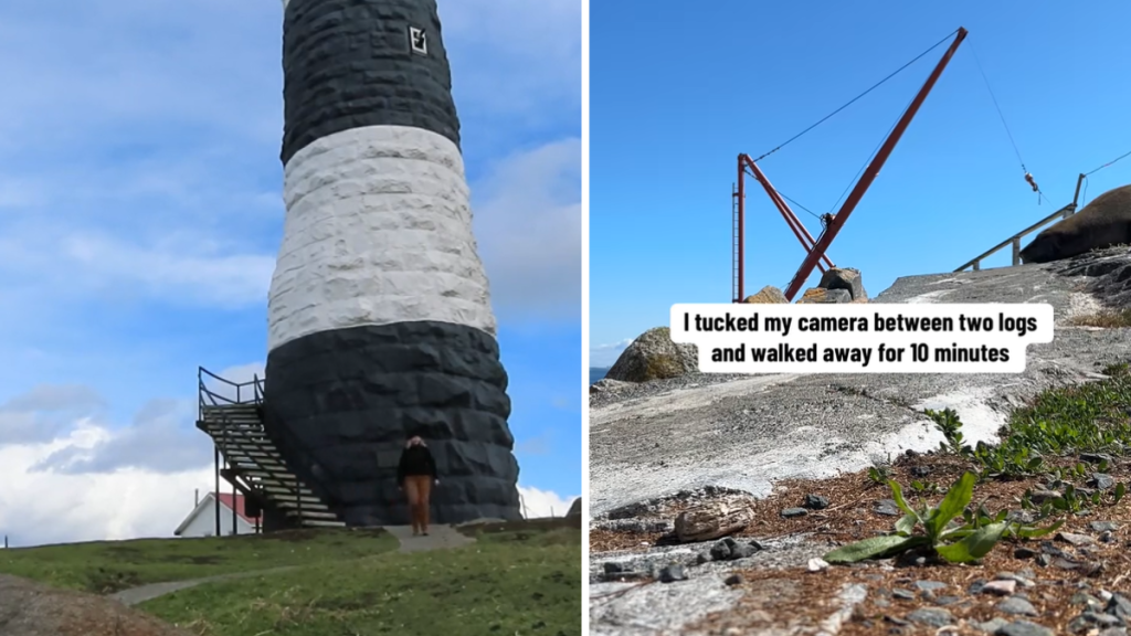 Left image shows the Race Rocks Lighthouse. Right image shows an elephant seal hiding.