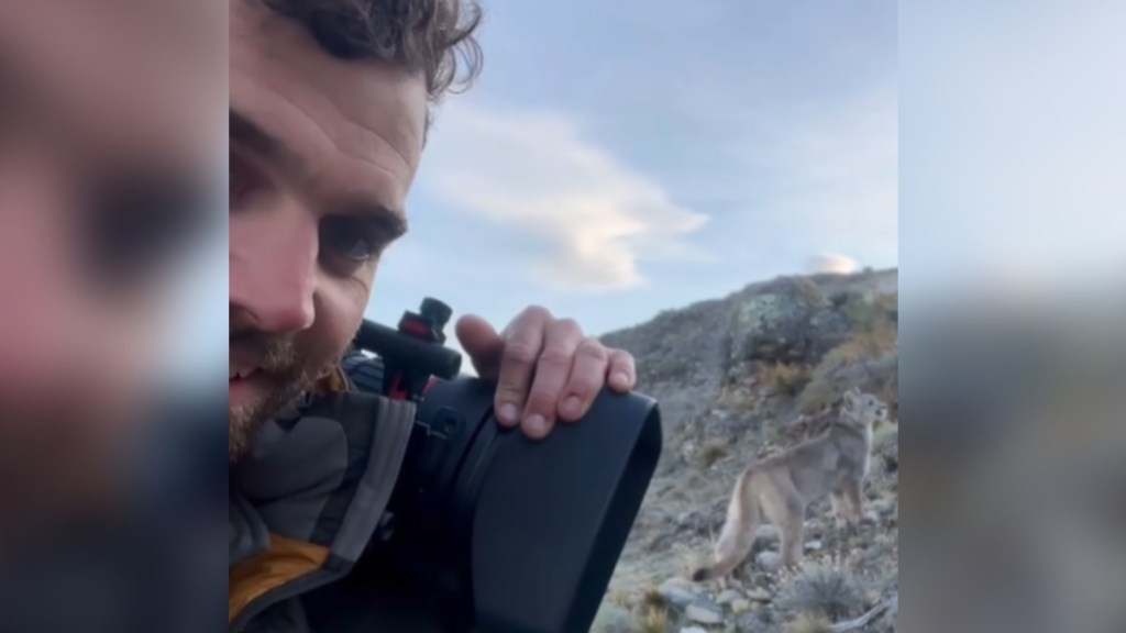 Close up of a man holding a professional camera with his one free hand. Just a few feet behind him is a puma looking off in the distance