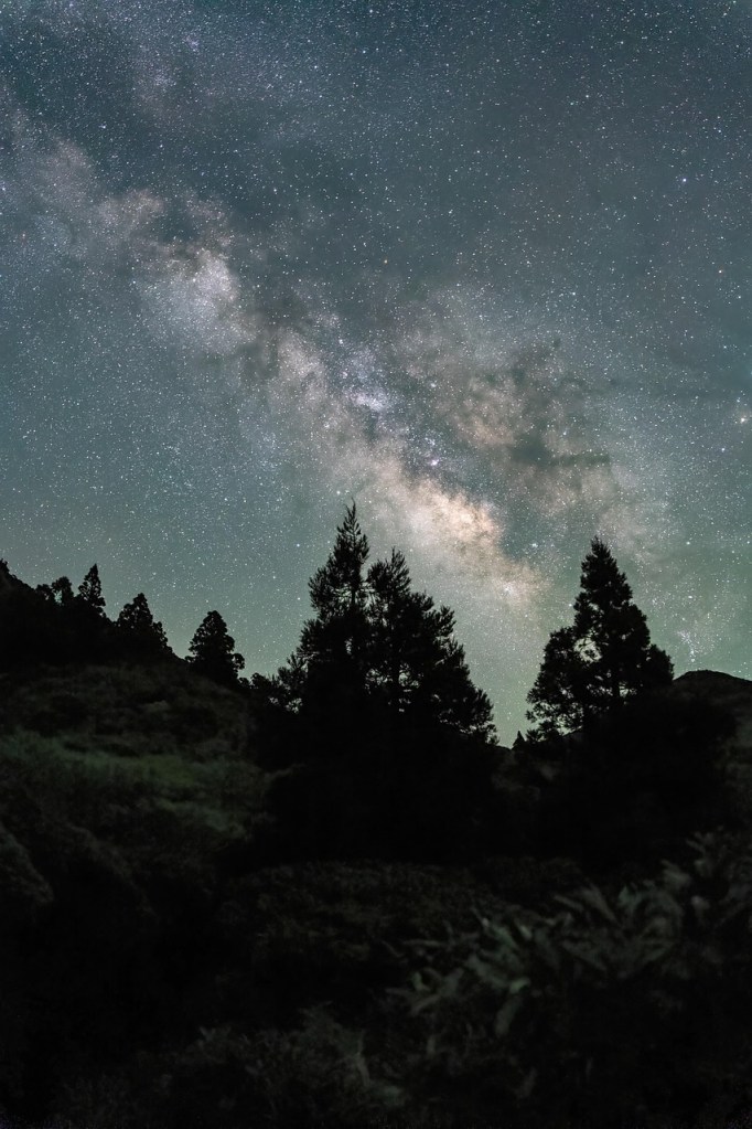 View of the Milky Way in the sky, as seen at night in a dark woods. Shadows of trees line the skyline