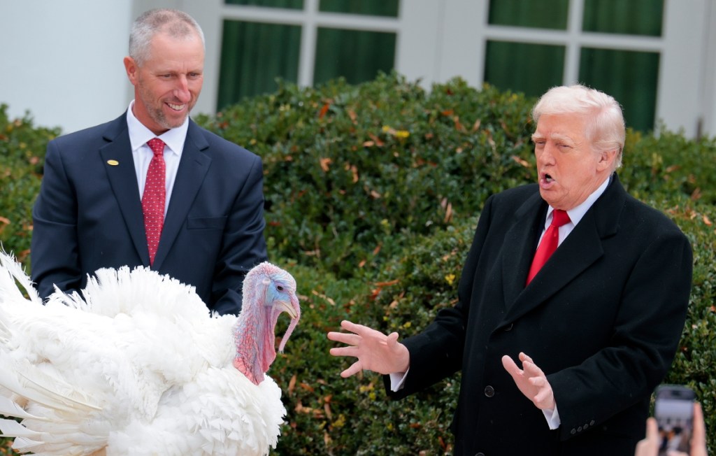 Turkey Pardon