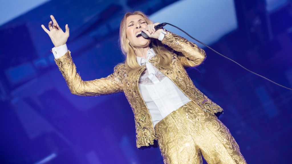 Celine Dion Concert