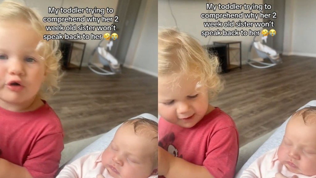 2-Year-Old Baby Sister