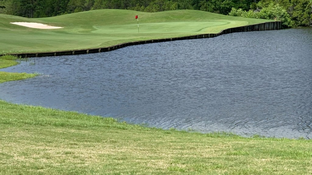 Mega-Viral Clip Shows Massive Alligator Crossing Florida Golf Course