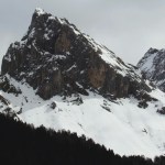 bear on mountain