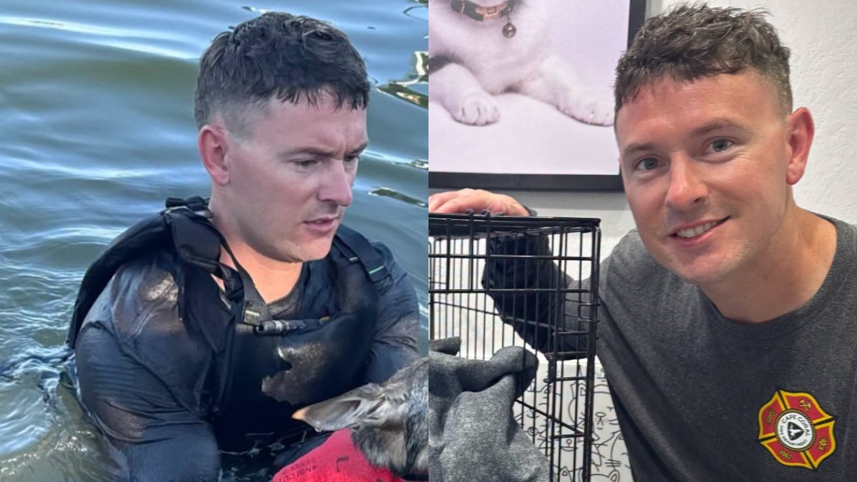 Florida Firefighter Makes Unbelievable Discovery Trying to Save Dog ...