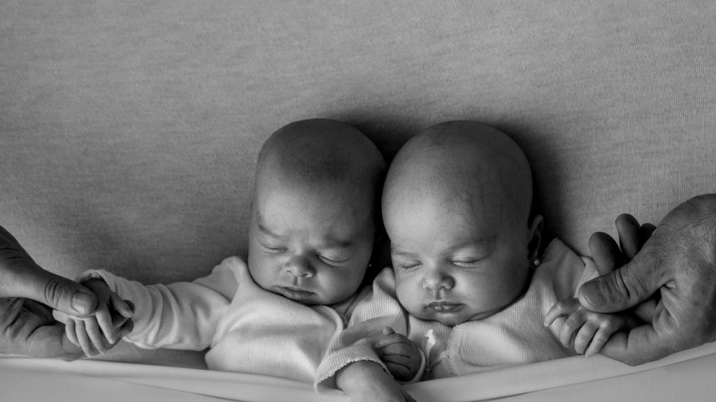 Royal Twins