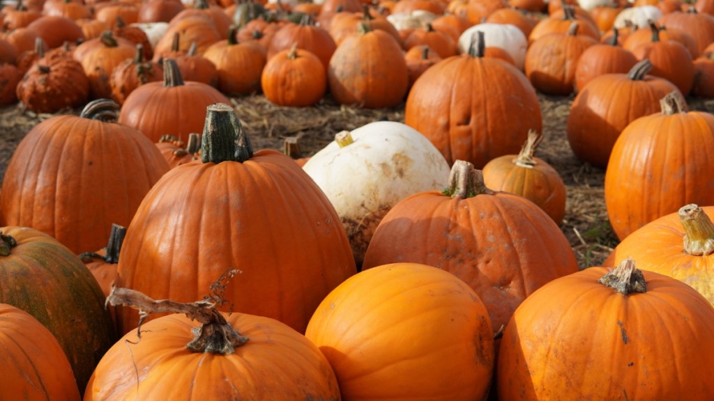 Giant Inflatable Pumpkin