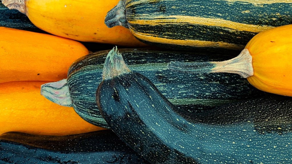 Record Zucchini